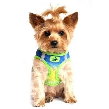 American River Ultra Choke Free Dog Harness- Ombre Collection - Colbalt Sport - Image 2