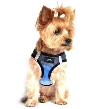 American River Ultra Choke Free Dog Harness- Ombre Collection -Midnight Sky - Image 2