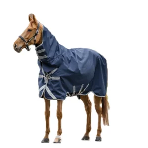 Amigo 1200D Integrated Turnout 150g