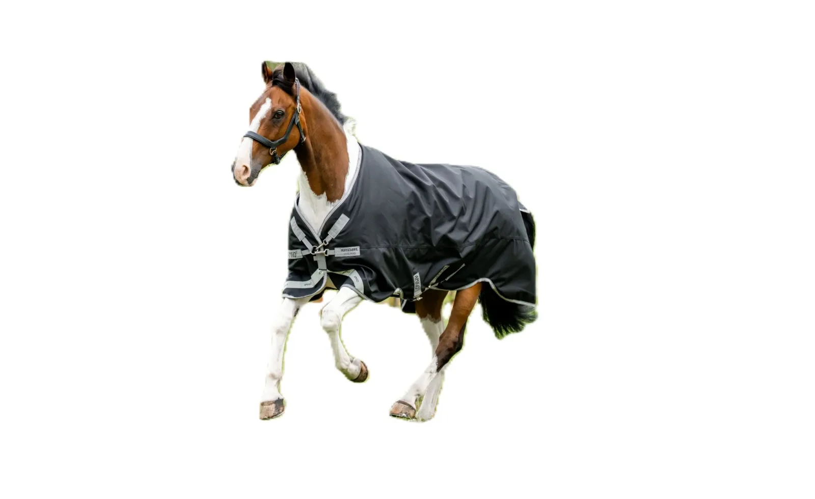 Amigo 1200D Turnout 250g - Image 2