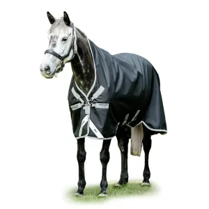 Amigo Bravo 12 Wug Lite Turnout