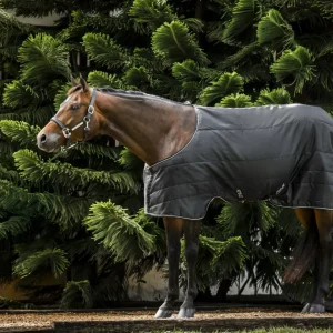 Amigo Quarter Horse Stable 200g