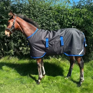 Amigo Ripstop 900D Foal Turnout 200g