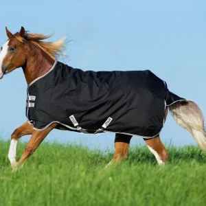 Amigo Stock Horse Turnout Sheet