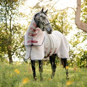 Amigo Summer Sheet Plus