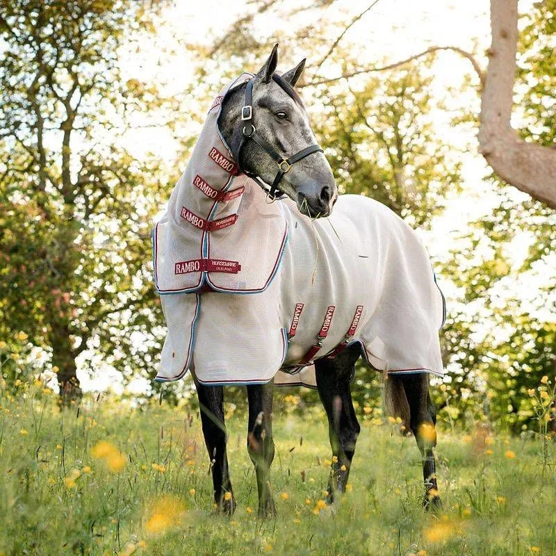 Amigo Summer Sheet Plus
