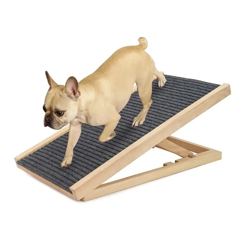 Anti-Slip Ramp