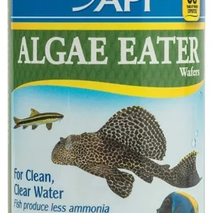 API Algae Eater Premium Algae Wafers