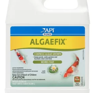 API Pond AlgaeFix 32oz