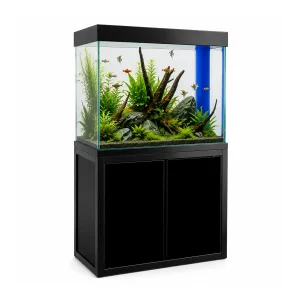 Aqua Dream 50 Gallon Aquarium Black Tempered Glass
