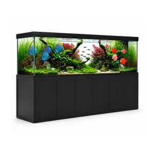 Aqua Dream 500 Gallon Tempered Glass Aquarium Black