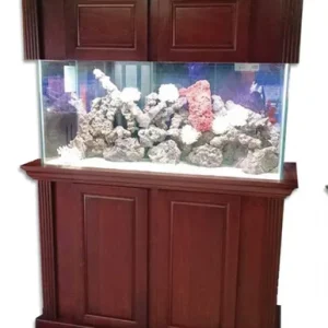 Aqua Wood Grande Crown Series 72"L x 24"W x 36"H