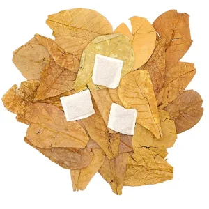 Aquatic Arts Tannin Tea Bags (Terminalia catappa) — Natural Tannins Without Debris