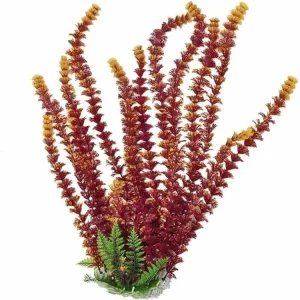 Aquatop Cabomba Aquarium Plant