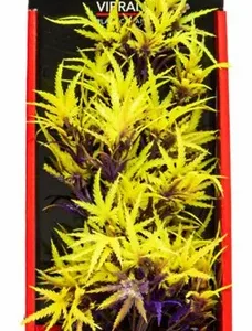 Aquatop Fluorescent Cannabis Plant Olive 10"