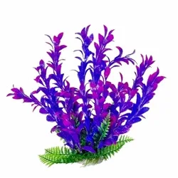 Aquatop Plant Hygrophila Pink/Purple 9"