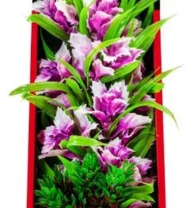 Aquatop Vibrant Garden Violet Plant 10"