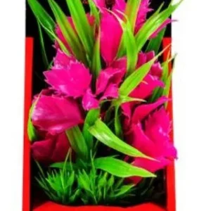 Aquatop Vibrant Passion Pink Plant 6"