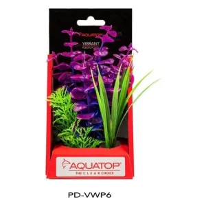 Aquatop Vibrant Wild Plant Purpleberry, 1ea/6 in