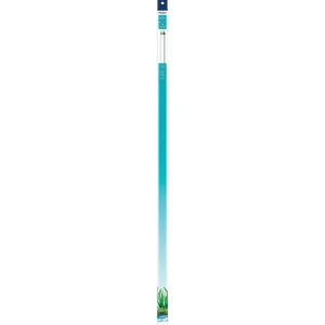 Aqueon T8 Fluorescent Lamp Replacements Daylight 36 Inches (D)