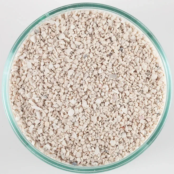 Arag-Alive Special Grade Reef Sand (20 lb) 1.0 - 2.0 mm - Caribsea