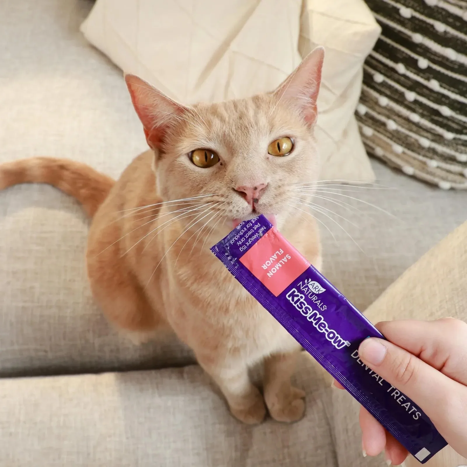 Ark Naturals Cat Lickable Kiss Me-Ow Salmon 2 oz - Image 2