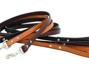 Auburn Town Leash - Many Colors