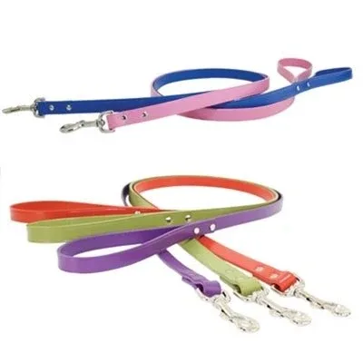 Auburn Town Leash - Many Colors - Image 2