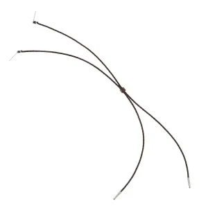 Austin Accent Inc. Brown Leather Stampede String