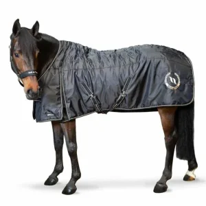 Back on Track Millie Stable Blanket
