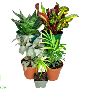 Ball Python Plant Pack V2