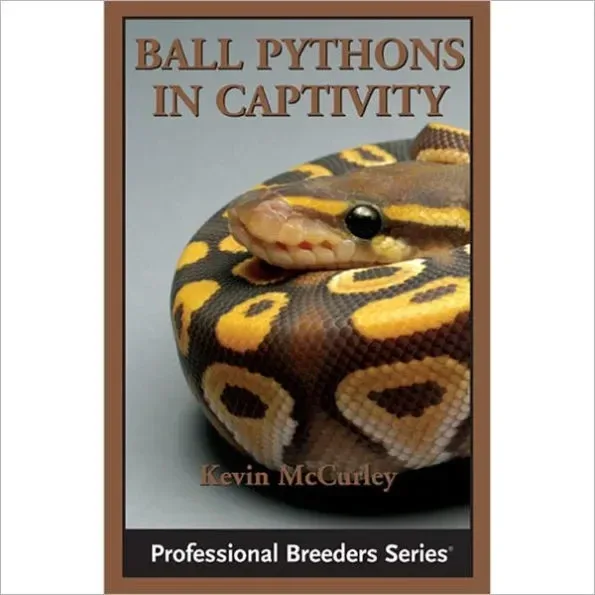 Ball Pythons in Captivity