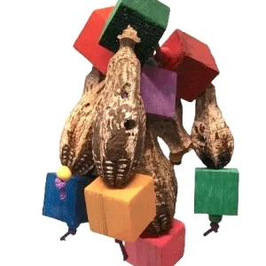 Balsa and Pods Bird Toy