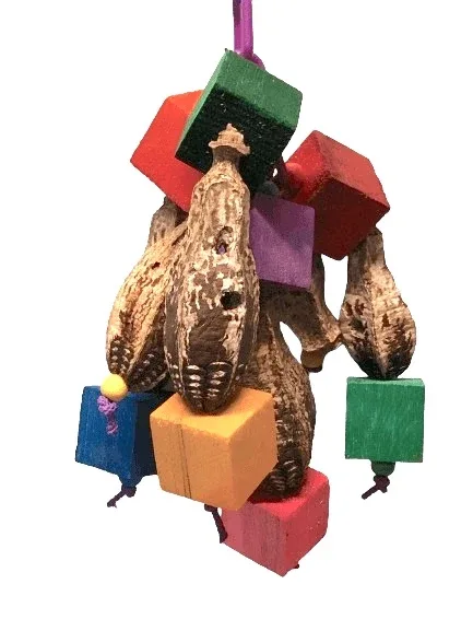 Balsa and Pods Bird Toy
