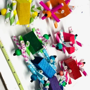 Balsa Straw Foot bird toys