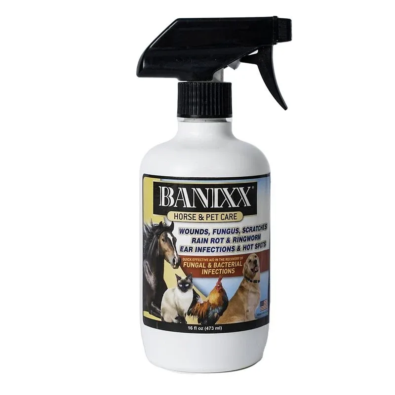 Banixx Horse and Pet Care - Image 2