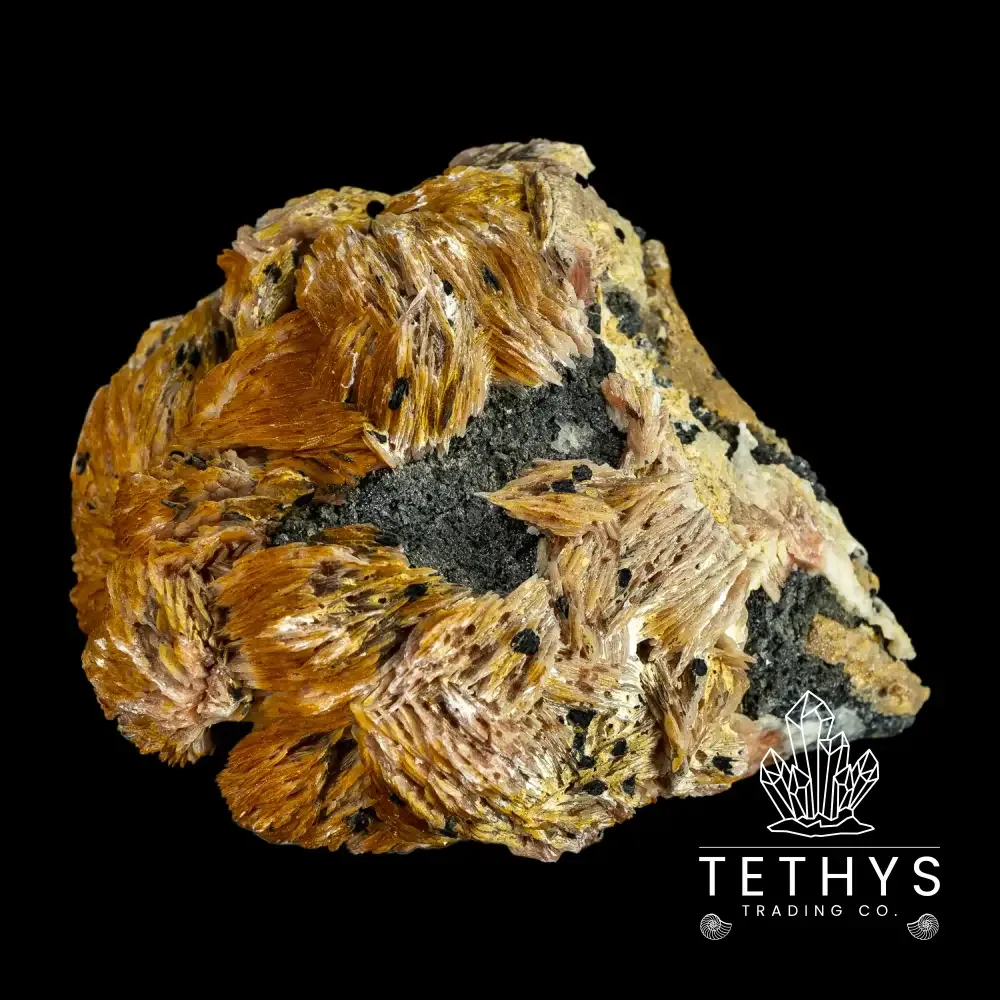 Barite Lg - Image 2