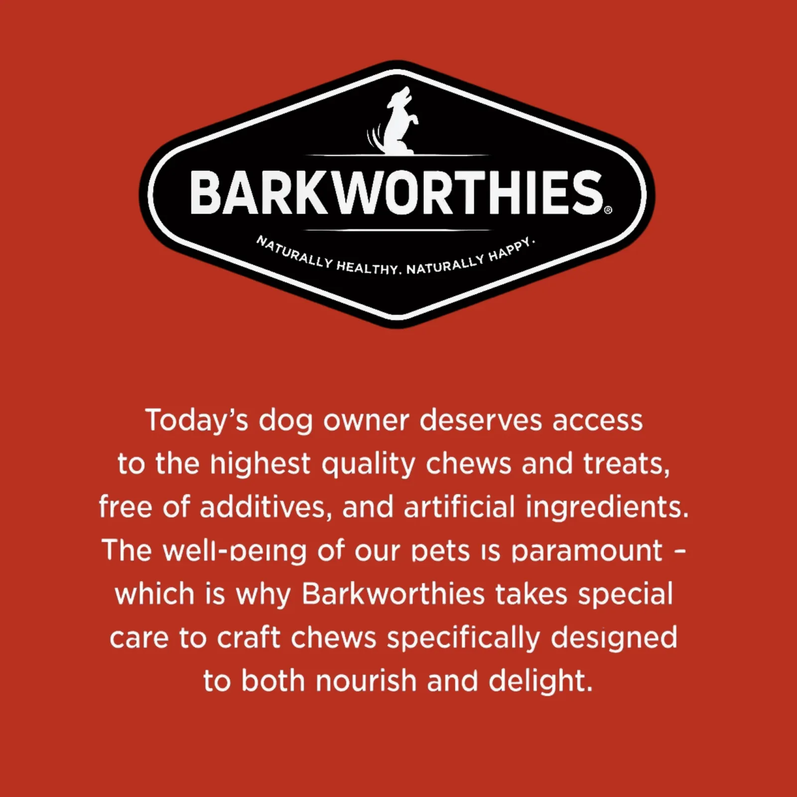 Barkworthies Naturally Smoked Braided Pork Pizzle Dog Chews - Image 2