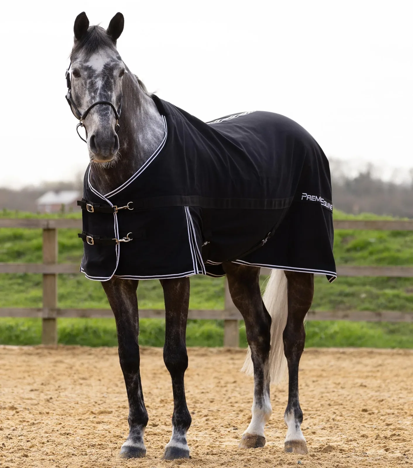 Barrasso Stable Sheet Black