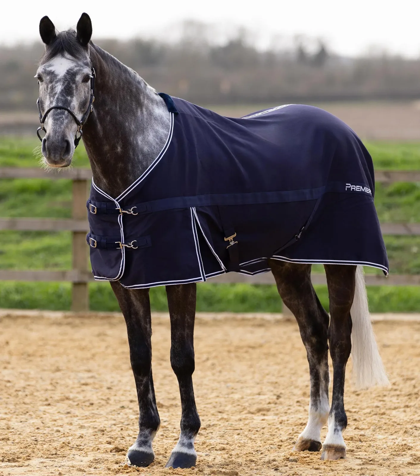 Barrasso Stable Sheet Navy