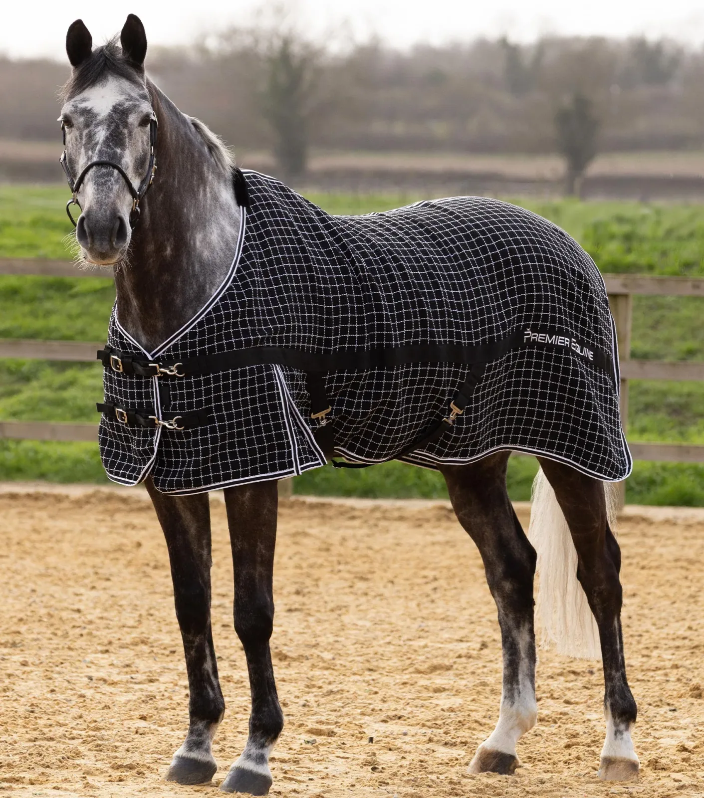 Barrasso Waffle Cooler Rug Black