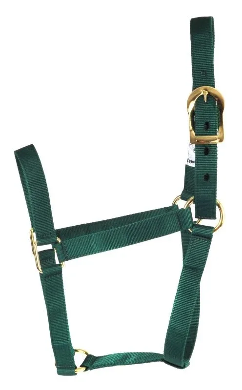 Basic 2-Ply Halter - Image 2
