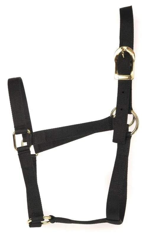 Basic 2-Ply Halter