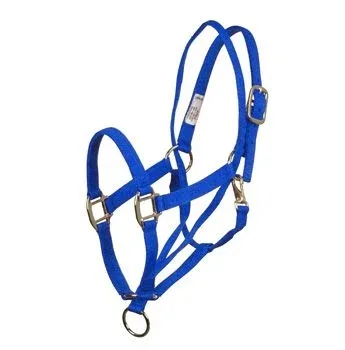 Basic Pull Back Training Halter - Image 2
