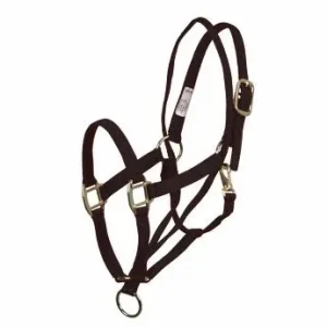 Basic Pull Back Training Halter