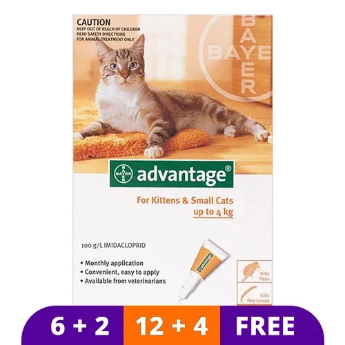 Bayer Advantage flea treatment for cats | Best Topical Cat Flea Treatment | Cat Flea Spot On Imidacloprid Dosage for Cats - Image 2