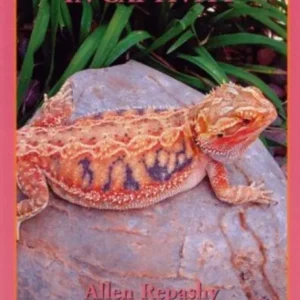 Bearded Dragons in Captivity