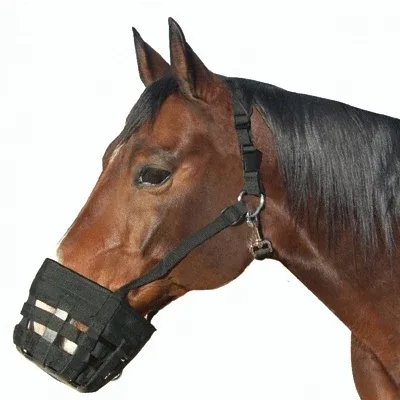 Best Friend Deluxe Grazing Muzzle with Halter - Image 2