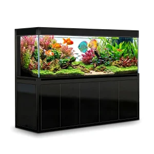 Big Fish Tank 400 Gallon Tempered Glass Aquarium Black