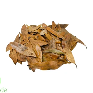Bio Dude Leaf Litter - Live Oak